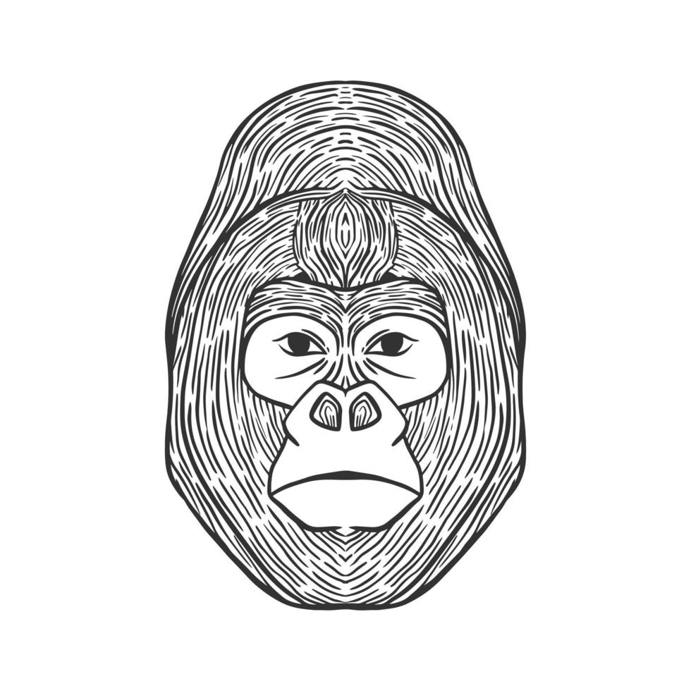 gorilla hoofd lijn kunst illustratie vector