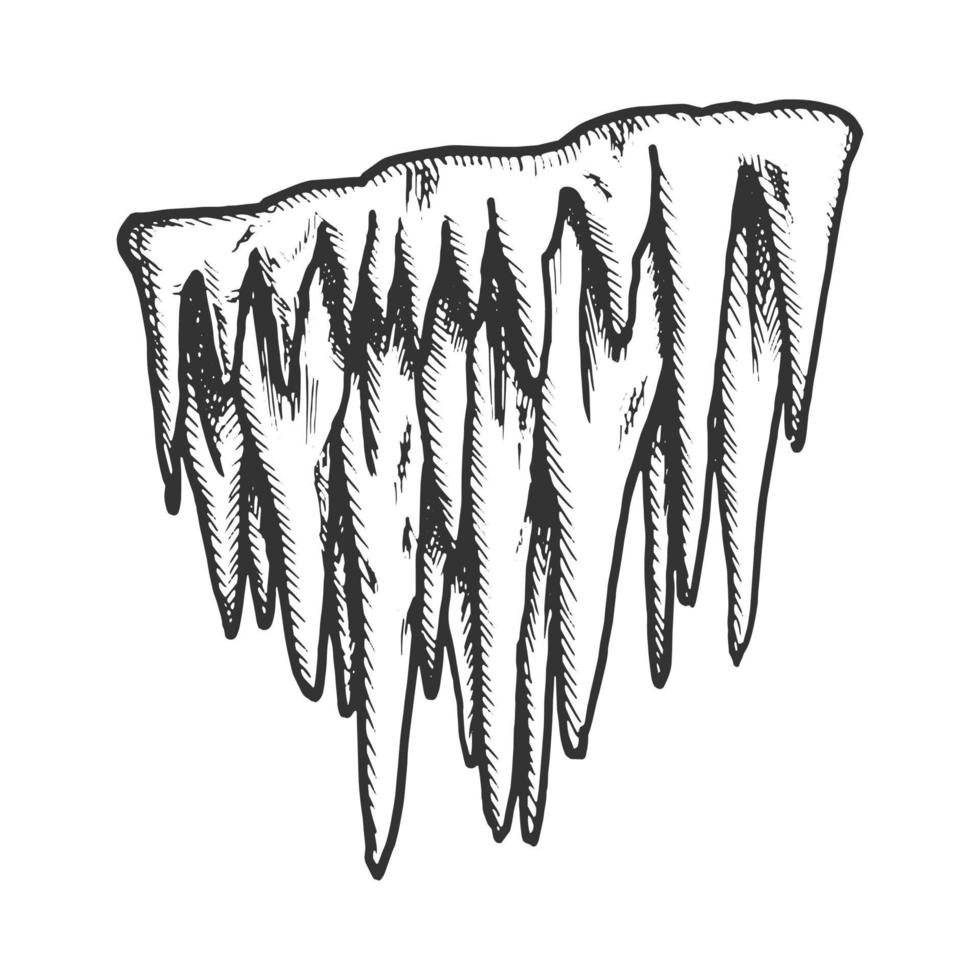 ijskegel stalactiet vorst element monochroom vector