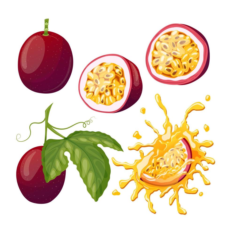 passie fruit reeks tekenfilm vector illustratie