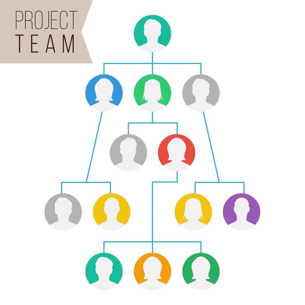 project team vector. werknemer groep organisatie. vlak standaard werknemer avatars. netwerk van mensen. hiërarchisch organisatie beheer systeem illustratie vector