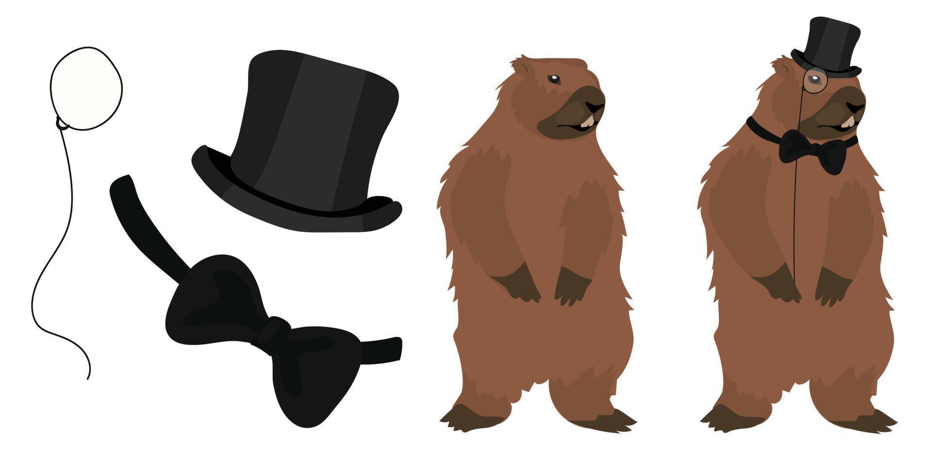 een 19e eeuw heren reeks voor een bosmarmot. groundhog dag is gekleed in Mannen accessoires. hoed top hoed, monocle, vlinder. vector illustratie.