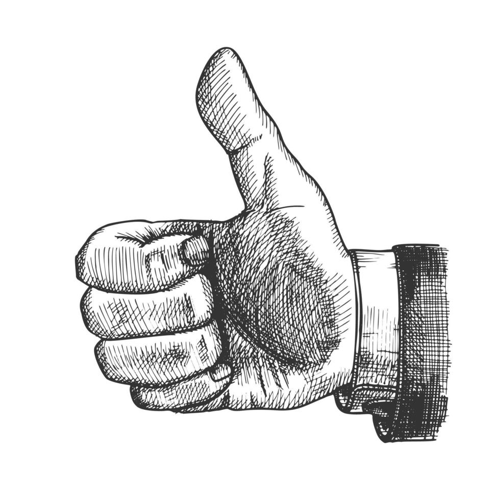 mannetje hand- maken gebaar duim vinger omhoog vector