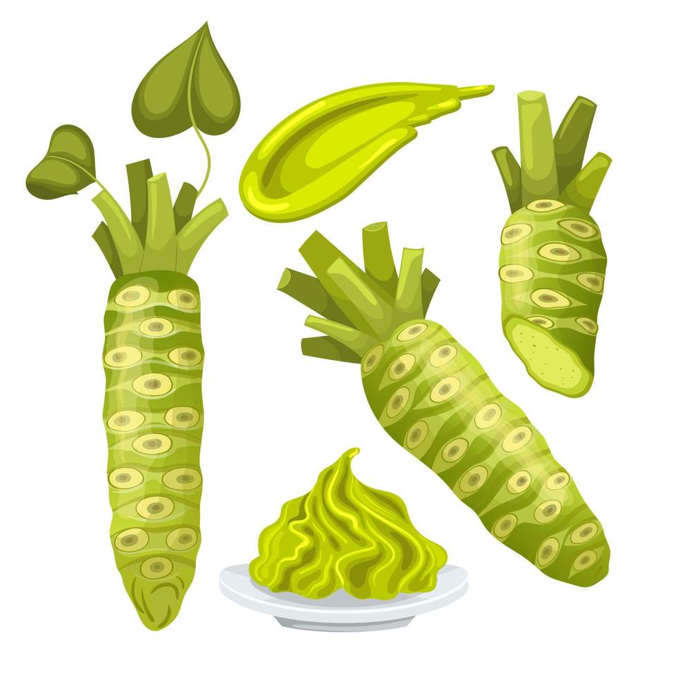 wasabi Aziatisch Japan reeks tekenfilm vector illustratie