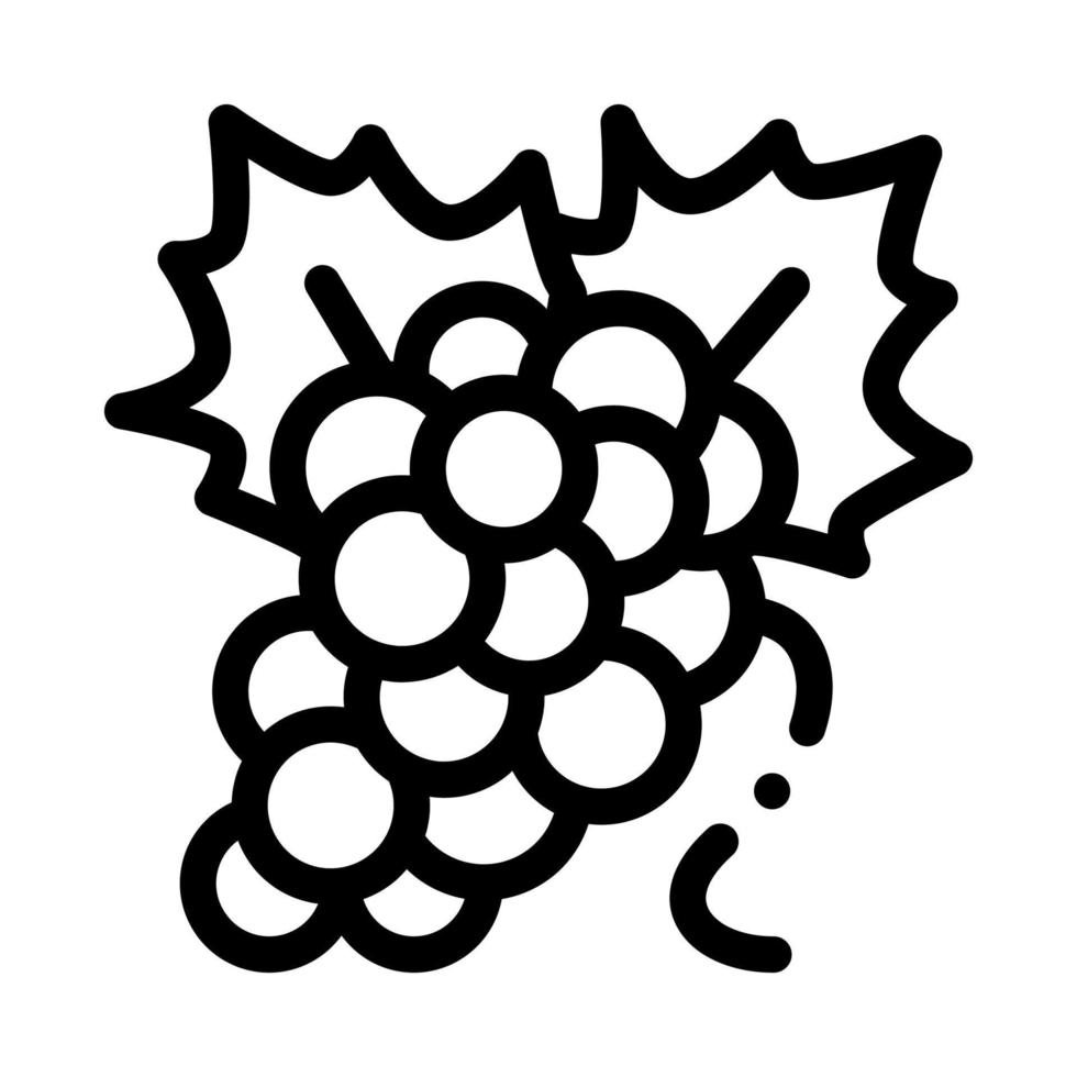 bundel van druiven icoon vector schets illustratie