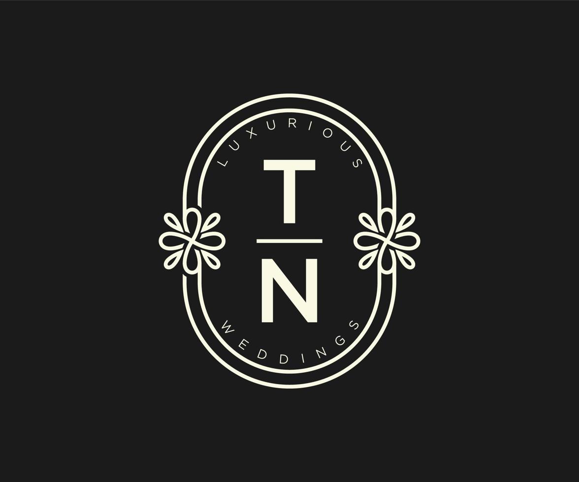 tn initialen brief bruiloft monogram logos sjabloon, hand- getrokken modern minimalistisch en bloemen Sjablonen voor uitnodiging kaarten, opslaan de datum, elegant identiteit. vector