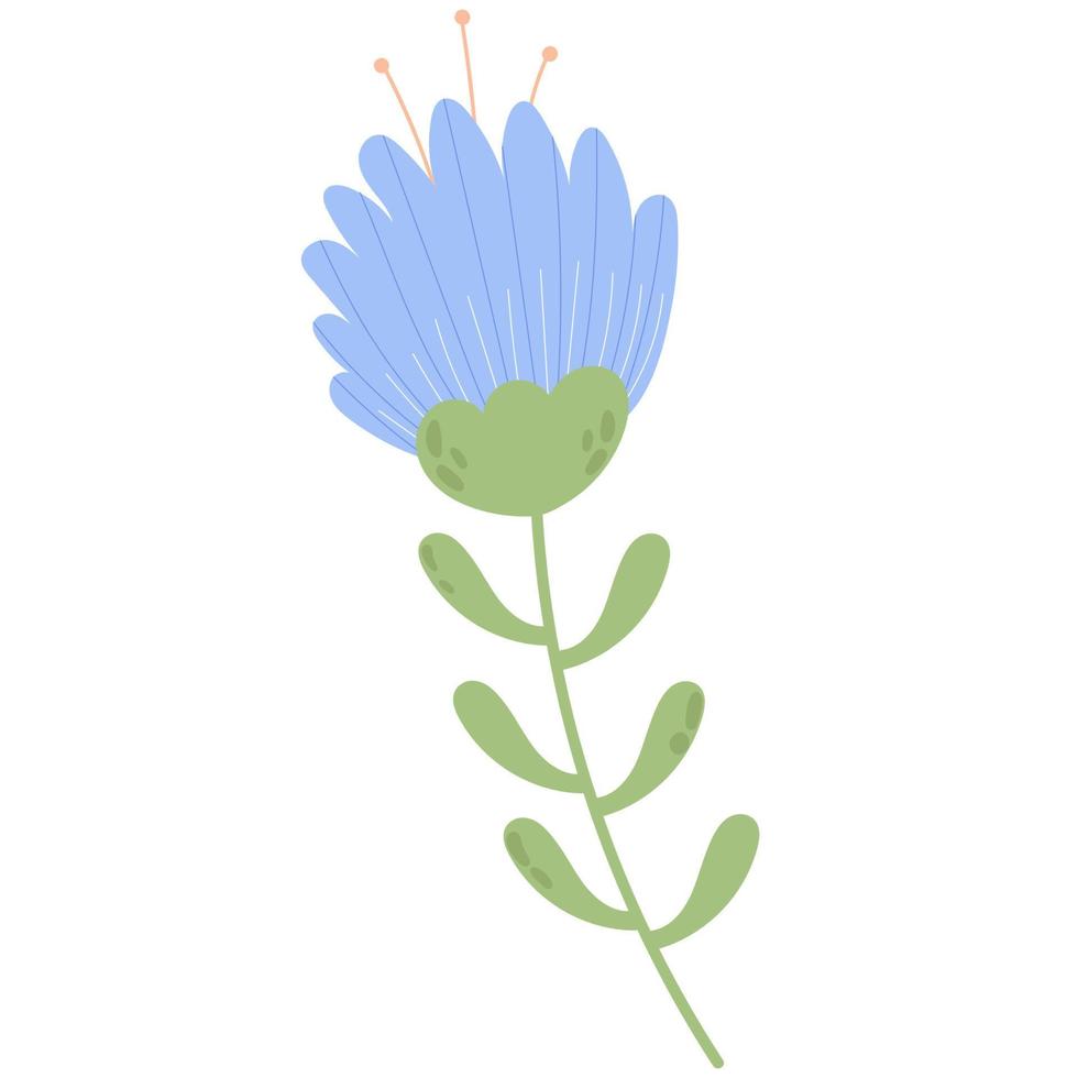gemakkelijk vector hand- trek bloemen met takken en doorbladert natuurtalenten. voorjaar bloem elementen.