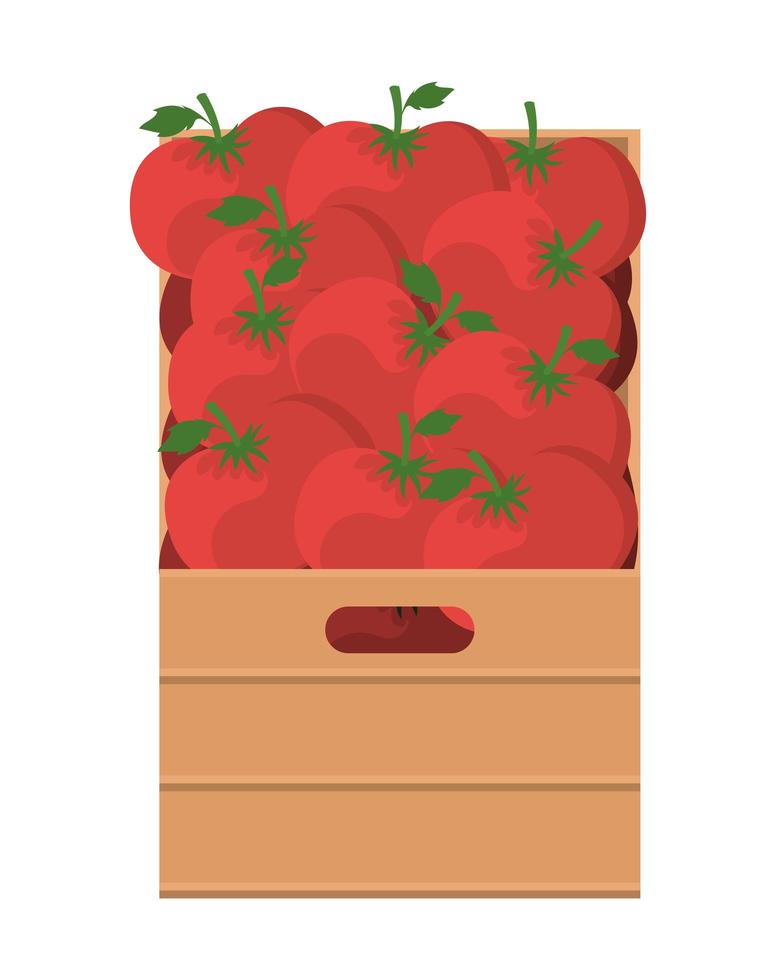 tomaten in doosontwerp vector