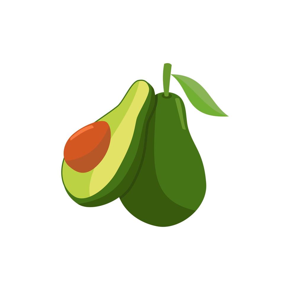 avocado fruit deel plat ontwerp vector