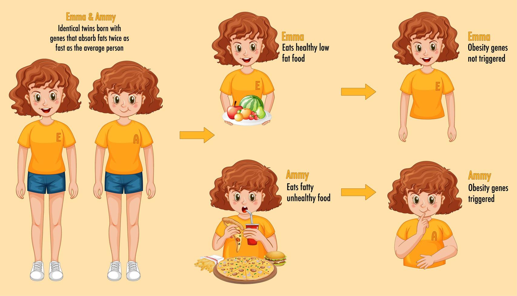 rollen van genen en omgeving. lichaamsvet bij een identieke tweeling infographic. vector