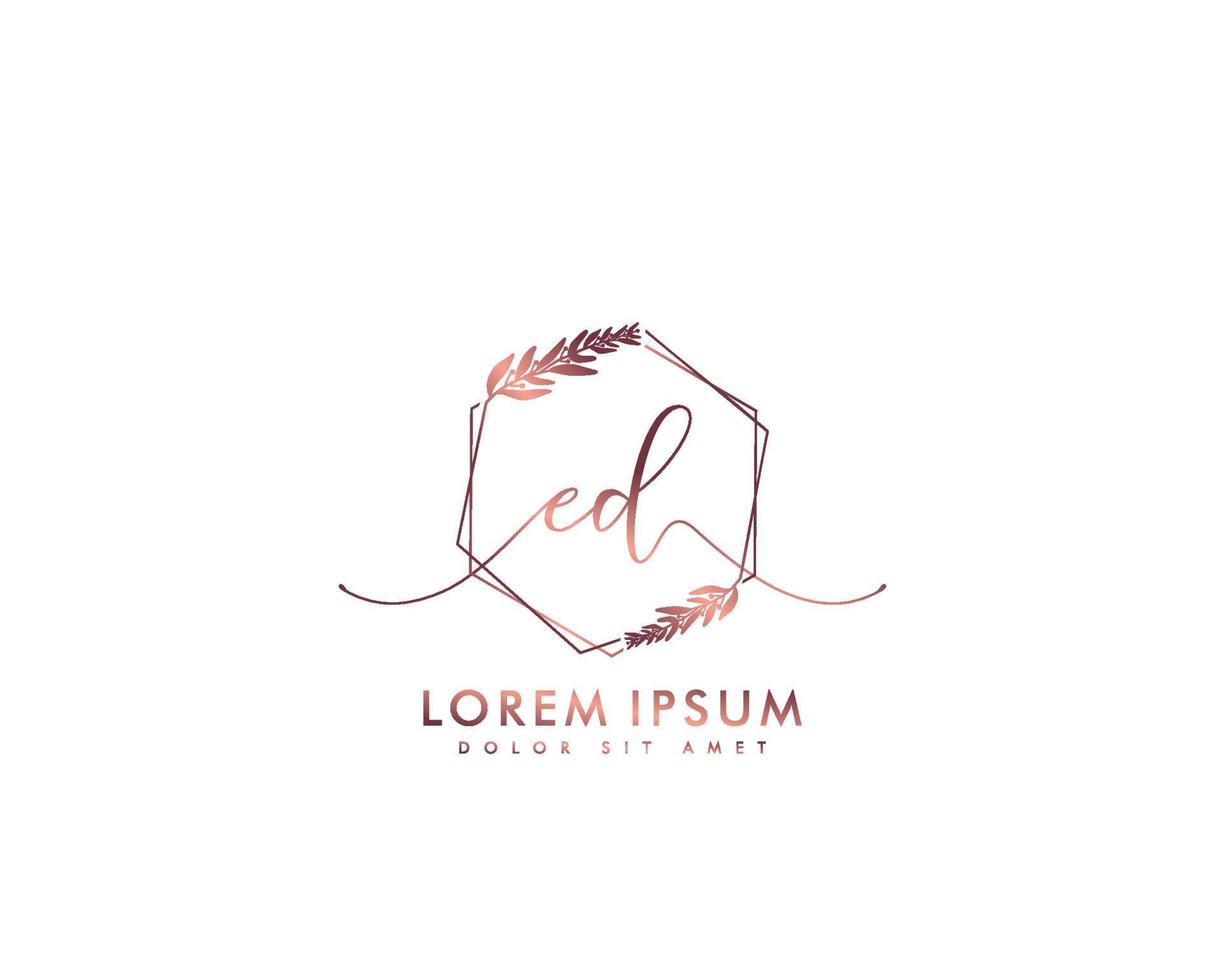 eerste ed vrouwelijk logo schoonheid monogram en elegant logo ontwerp, handschrift logo van eerste handtekening, bruiloft, mode, bloemen en botanisch met creatief sjabloon vector