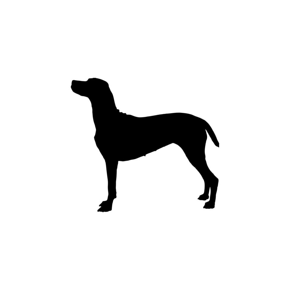 hond icoon. gemakkelijk stijl huisdier winkel poster achtergrond symbool. hond merk logo ontwerp element. hond t-shirt afdrukken. vector voor sticker.