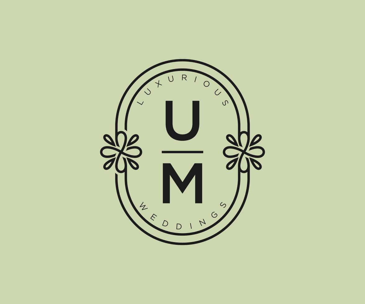 um initialen brief bruiloft monogram logos sjabloon, hand- getrokken modern minimalistisch en bloemen Sjablonen voor uitnodiging kaarten, opslaan de datum, elegant identiteit. vector