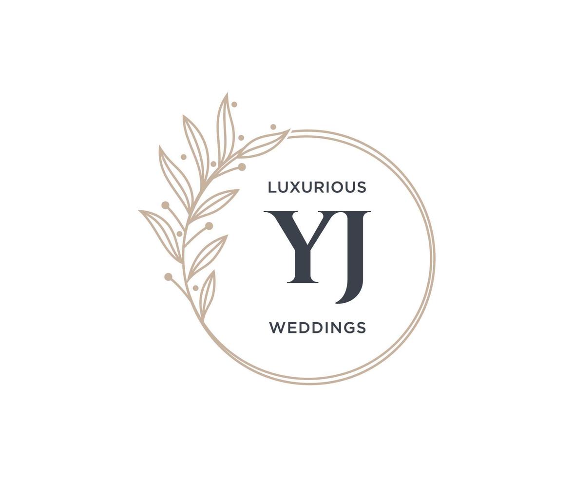 yj initialen brief bruiloft monogram logos sjabloon, hand- getrokken modern minimalistisch en bloemen Sjablonen voor uitnodiging kaarten, opslaan de datum, elegant identiteit. vector