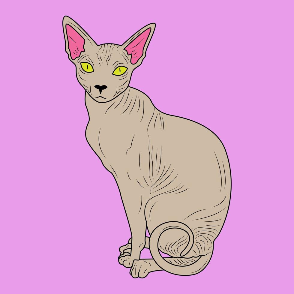 kleur ansichtkaart kat, sphynx Aan licht Purper achtergrond vector