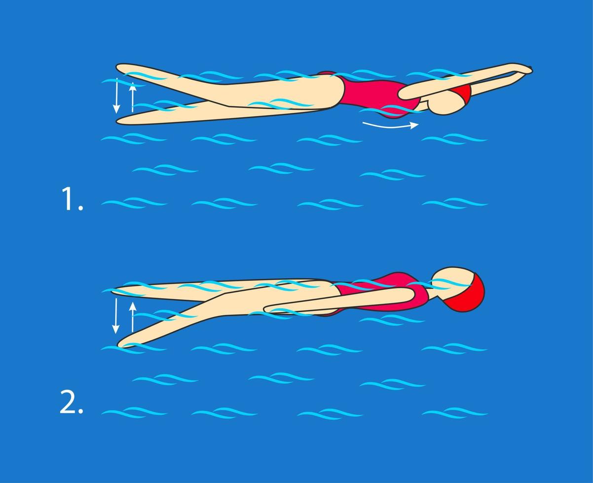 zwemmen met uw poten in een vlinder beroerte met hoog intensiteit net zo lang net zo u beheren naar Actie uw handen bovenstaand de water correct, zwemmen de rust uit van de afstand gemakkelijk Aan uw rug. instructie. vector