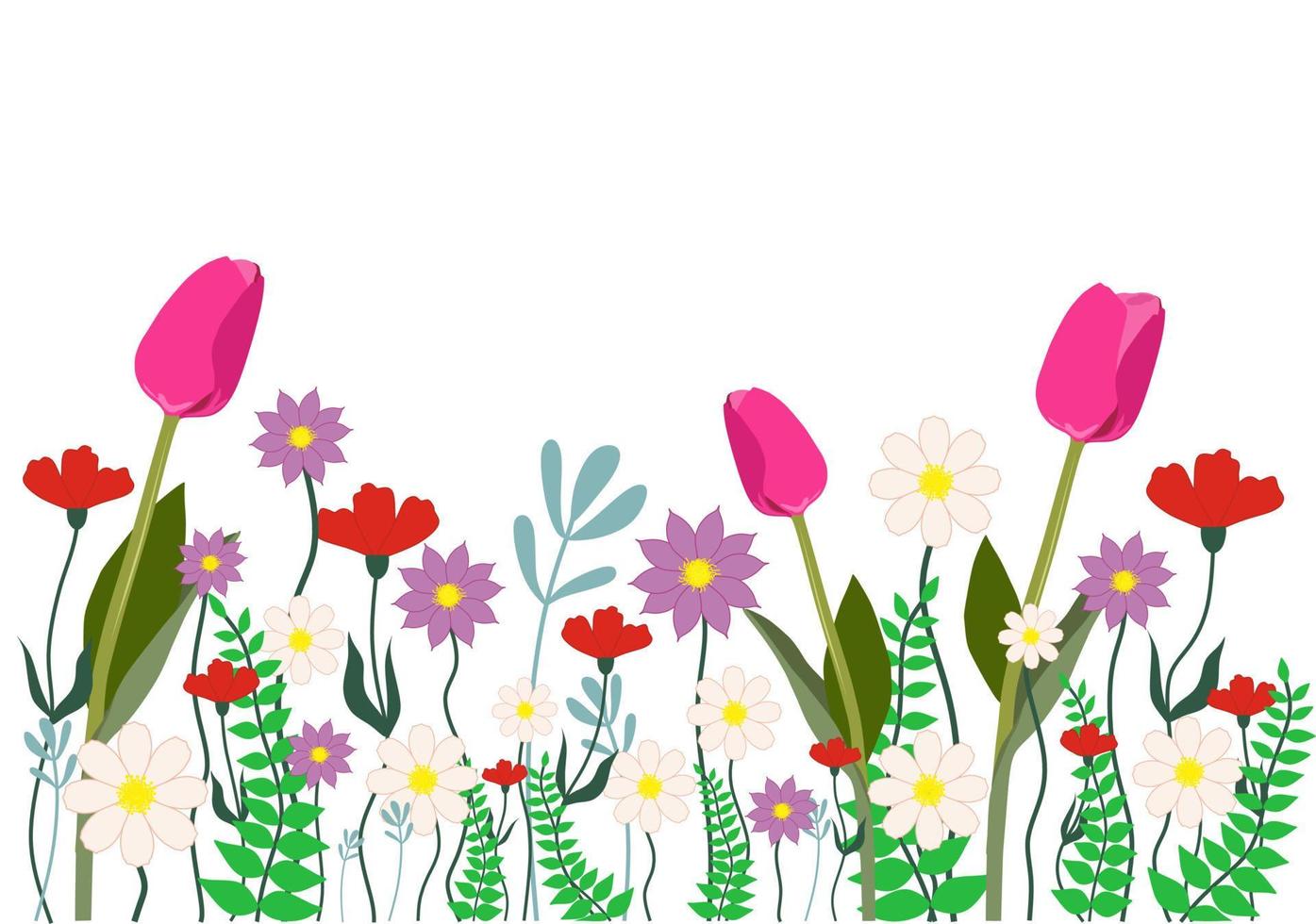 horizontaal wit achtergrond of bloemen backdrop versierd met prachtig veelkleurig bloeiend bloemen en bladeren grens. tulp, papaver, kamille. voorjaar botanisch vlak vector illustratie Aan wit terug