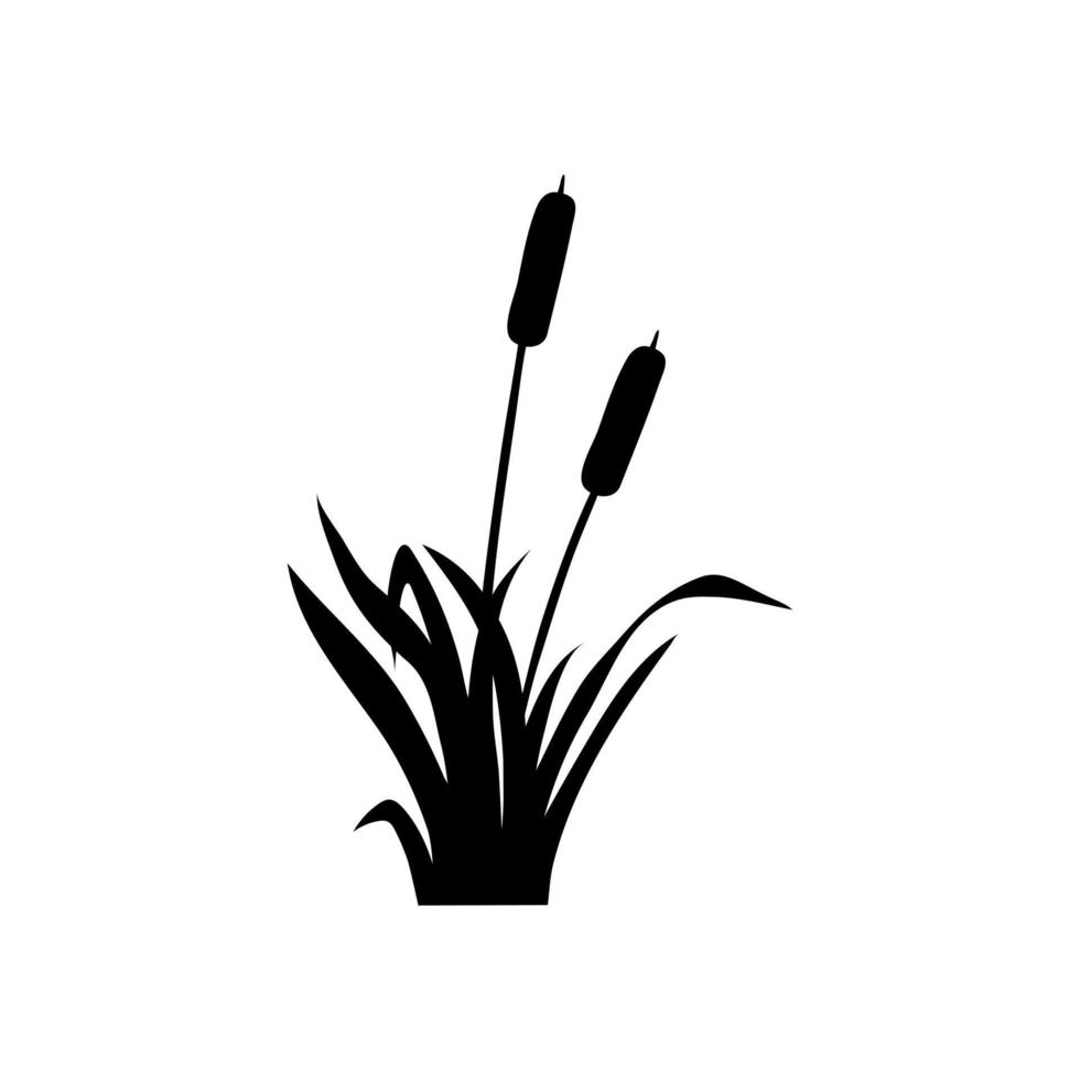 cattail icoon vector. riet illustratie teken. moeras symbool. gras logo. vector