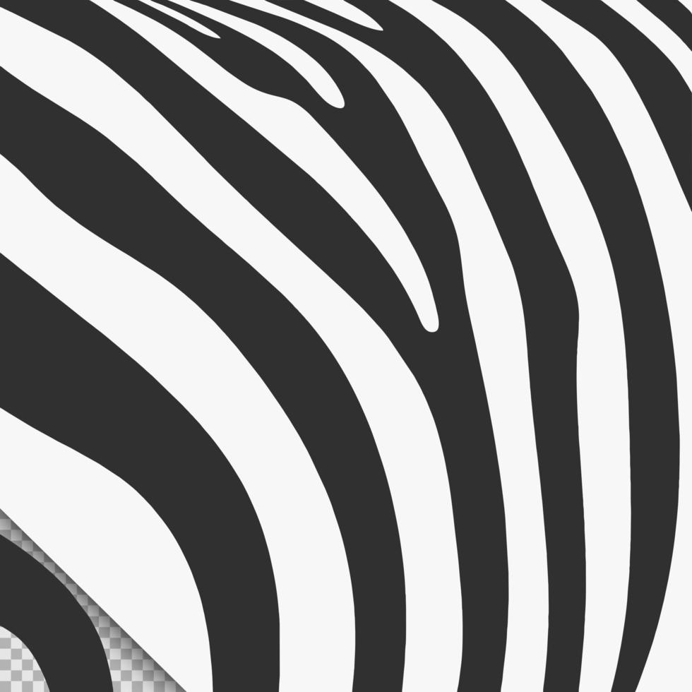 zwart wit zebra huid patroon vector