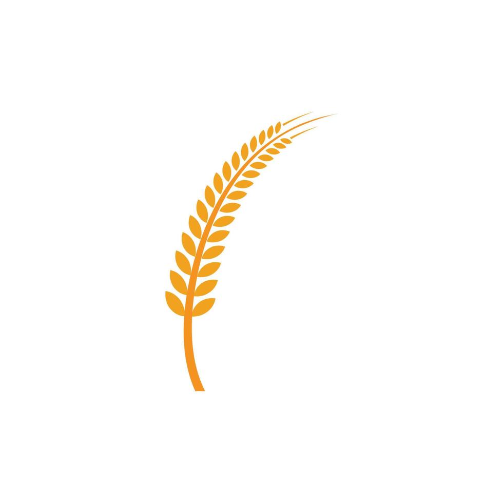 rijst logo vector