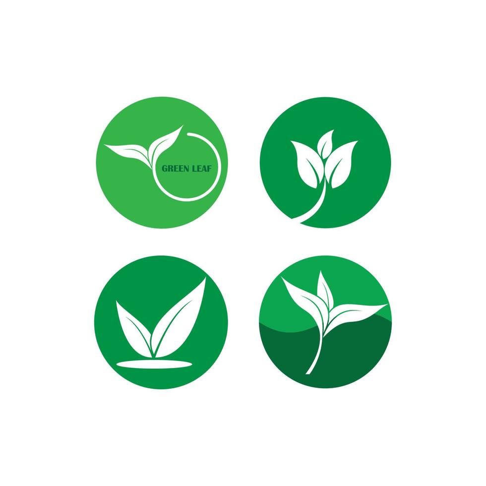 groen blad logo vector