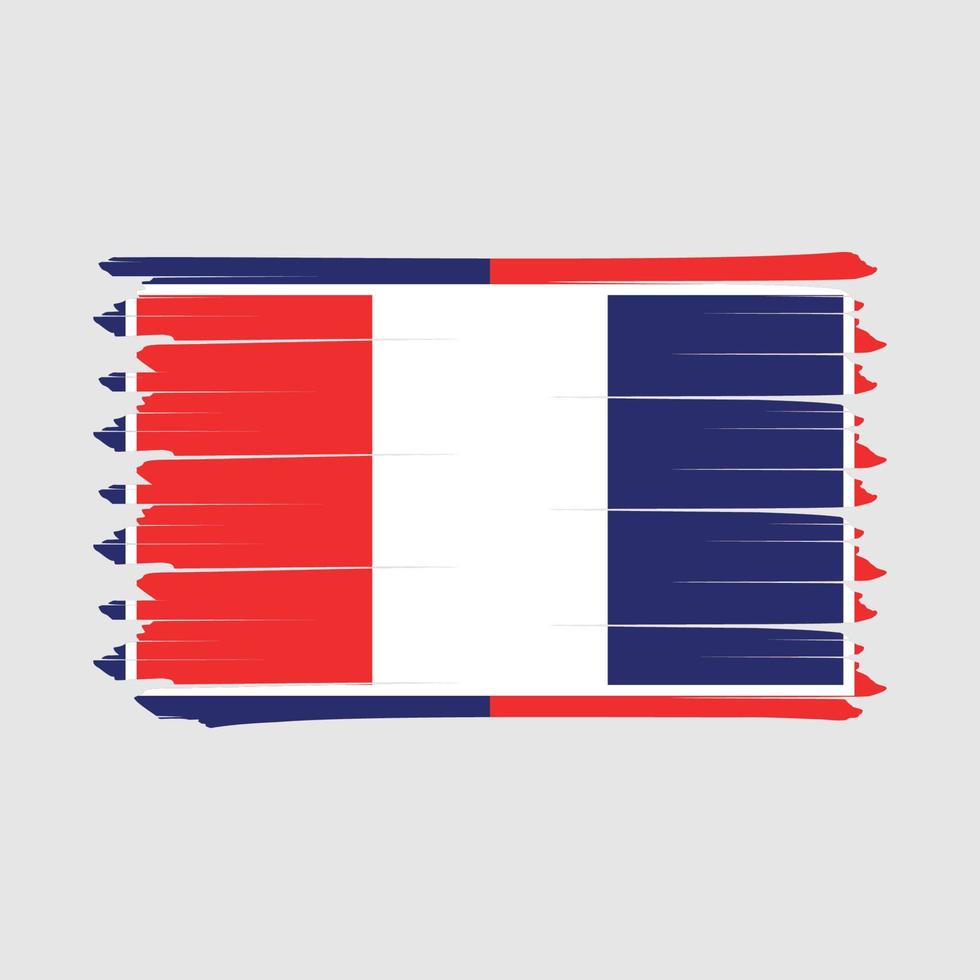 frankrijk vlag borstel vector