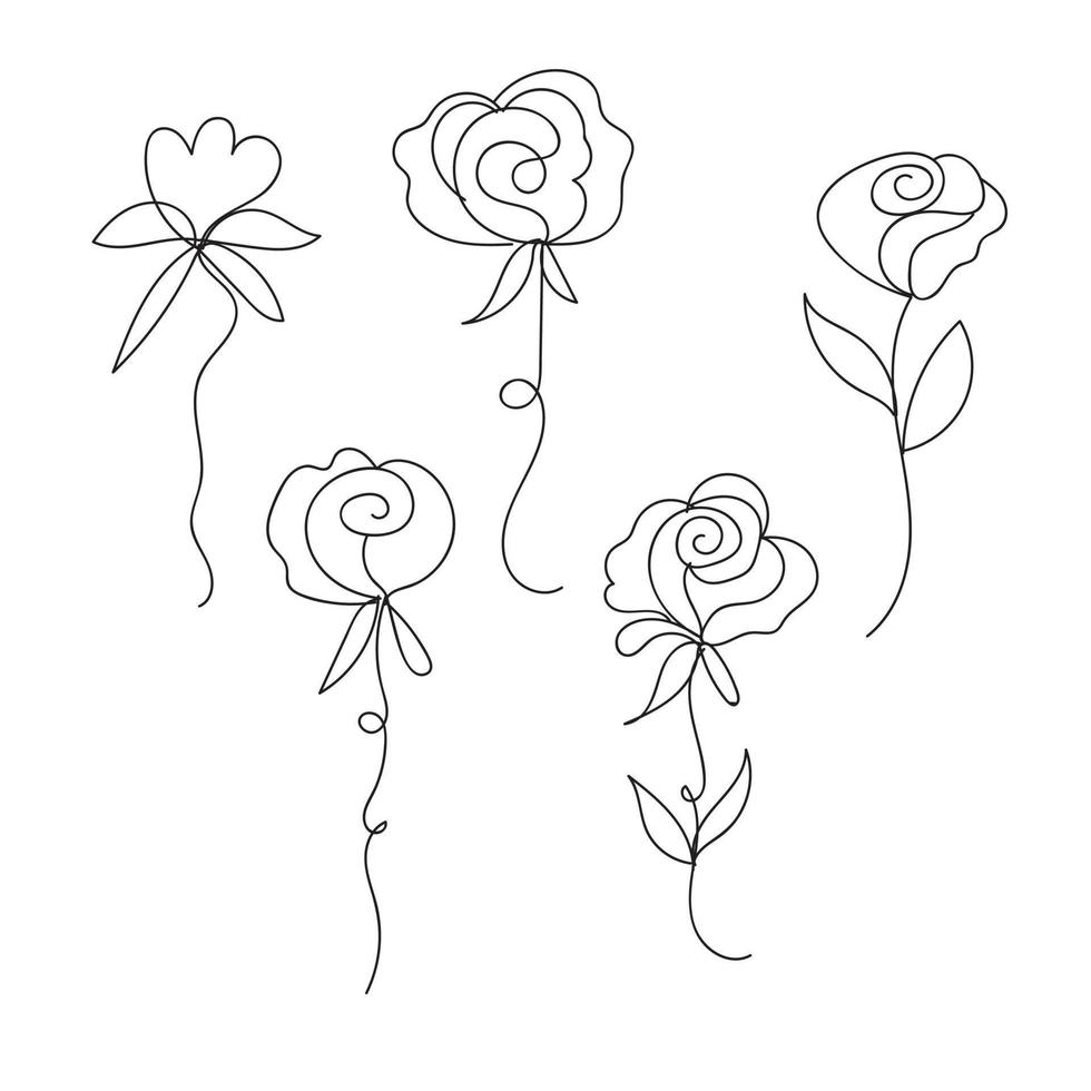 geïsoleerd roos bloem lijn kunst met bladeren vector