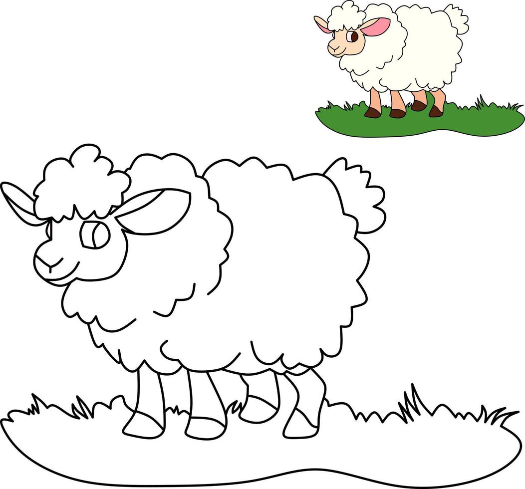 vector tekening van tekenfilm schaap, voor kleur boek