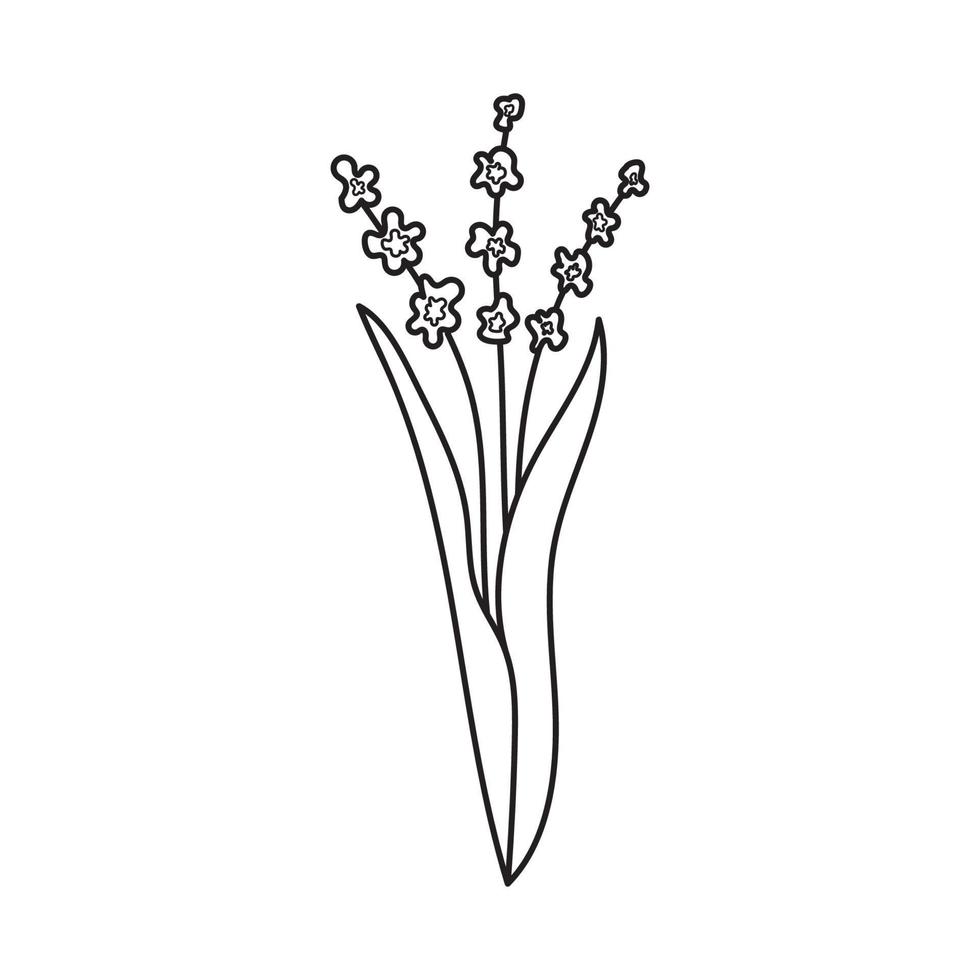 hand- getrokken illustratie van bloemen vector