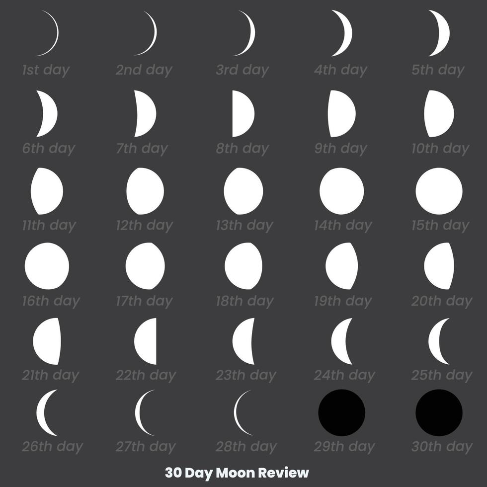 30 dag maan opnieuw bekijken. maan fasen astronomie icoon set, vector illustratie. geïsoleerd schets symbolen. donker marine blauw achtergrond.