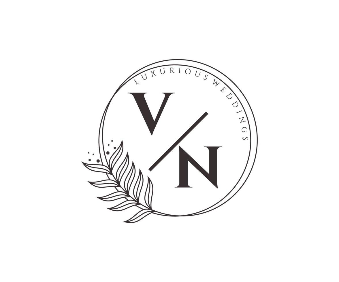 vn initialen brief bruiloft monogram logos sjabloon, hand- getrokken modern minimalistisch en bloemen Sjablonen voor uitnodiging kaarten, opslaan de datum, elegant identiteit. vector