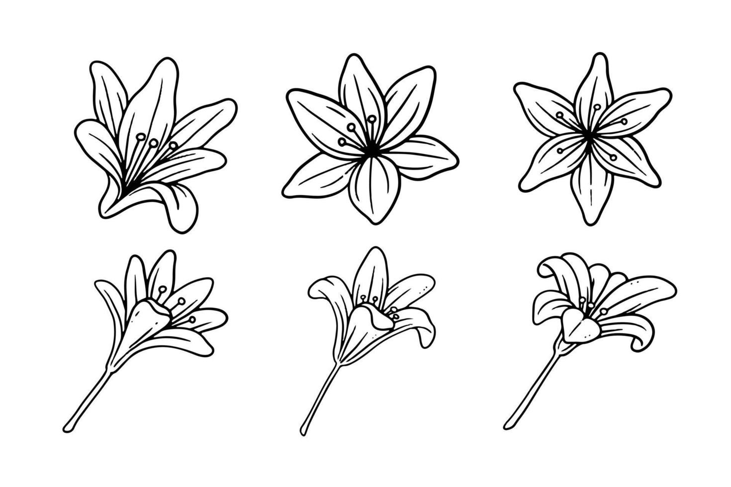 reeks van hand- getrokken lelie bloem voor romantisch en wijnoogst ontwerp ornament vector