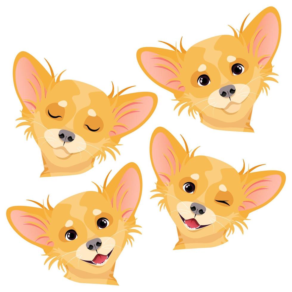 vier verschillend hoofden van een bruin chihuahua hond vector