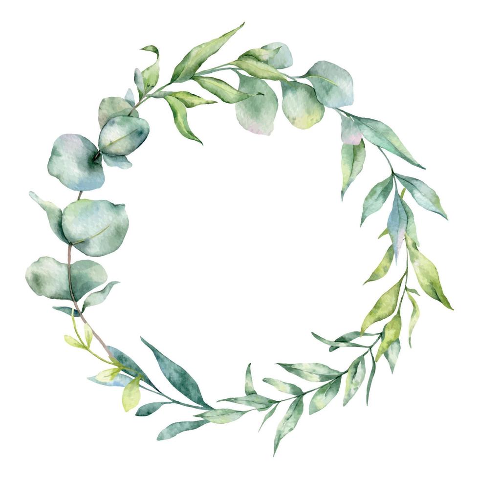 eucalyptus kader waterverf, bloemen kader, groen kader, bloemen regeling, groen bladeren samenstelling vector