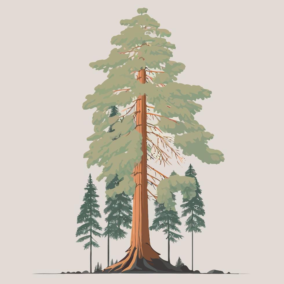 volwassen reusachtig sequoia boom vector