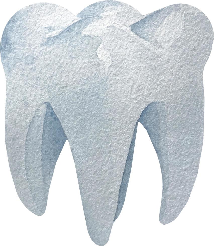 waterverf menselijk wit gezond kies tand. menselijk lichaam onderdelen geïsoleerd Aan wit achtergrond. medisch illustratie vector