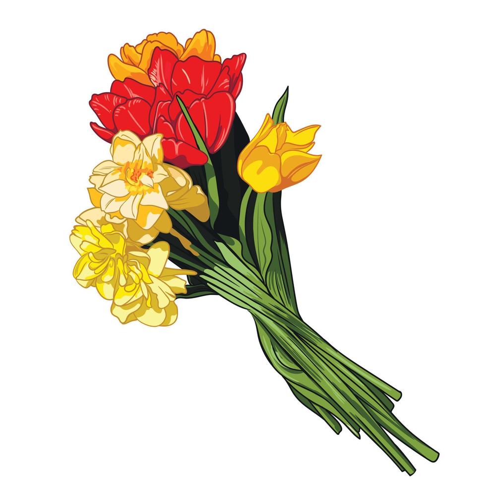 vector voorjaar boeket van tulpen en narcissen