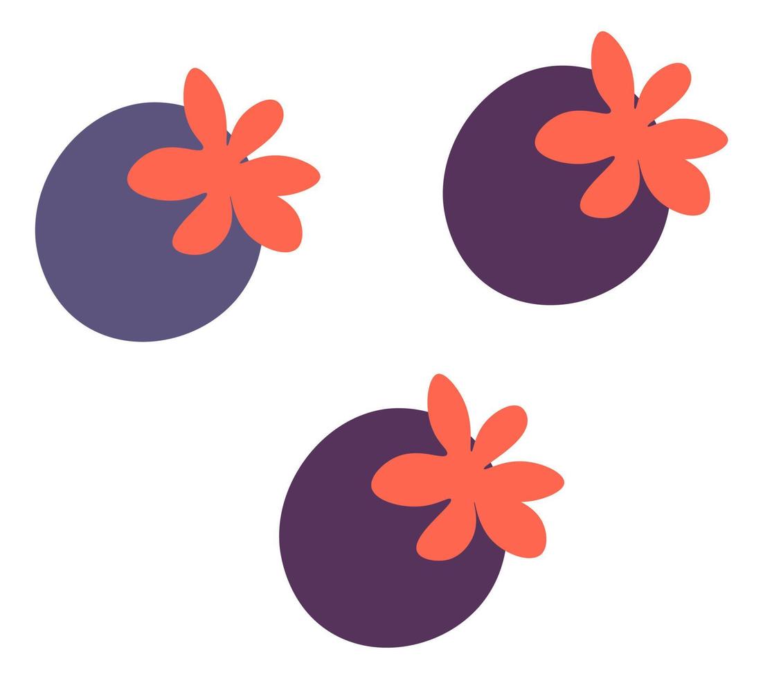 rijp fig fruit of bessen, toetje zoet groente vector