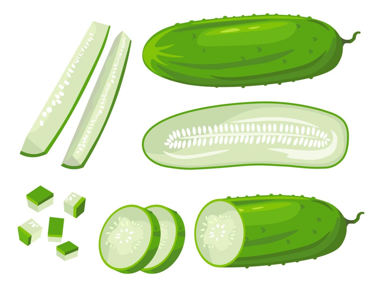 vers komkommer groente besnoeiing in Delig gesneden vector
