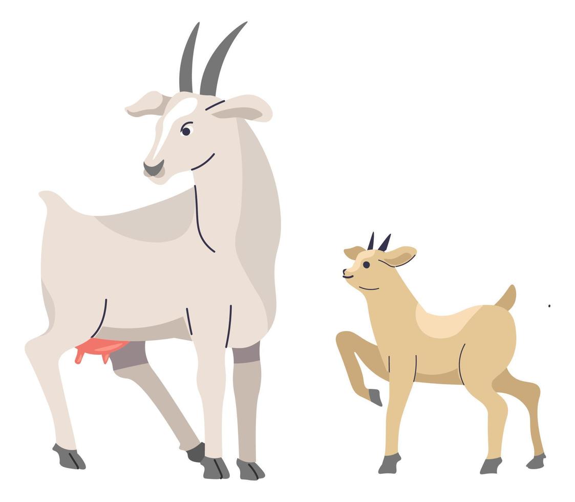 geit en geiten, landbouw en huiselijk dieren vector