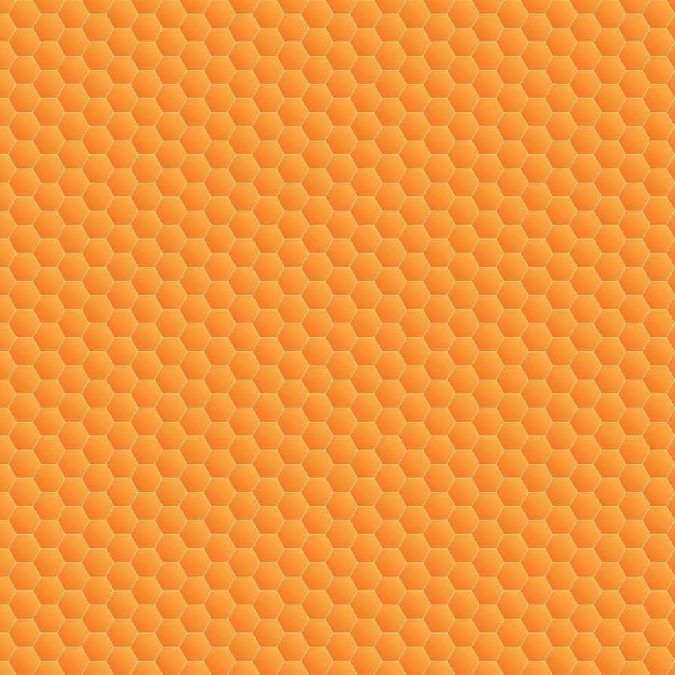 honing patroon ontwerp vector