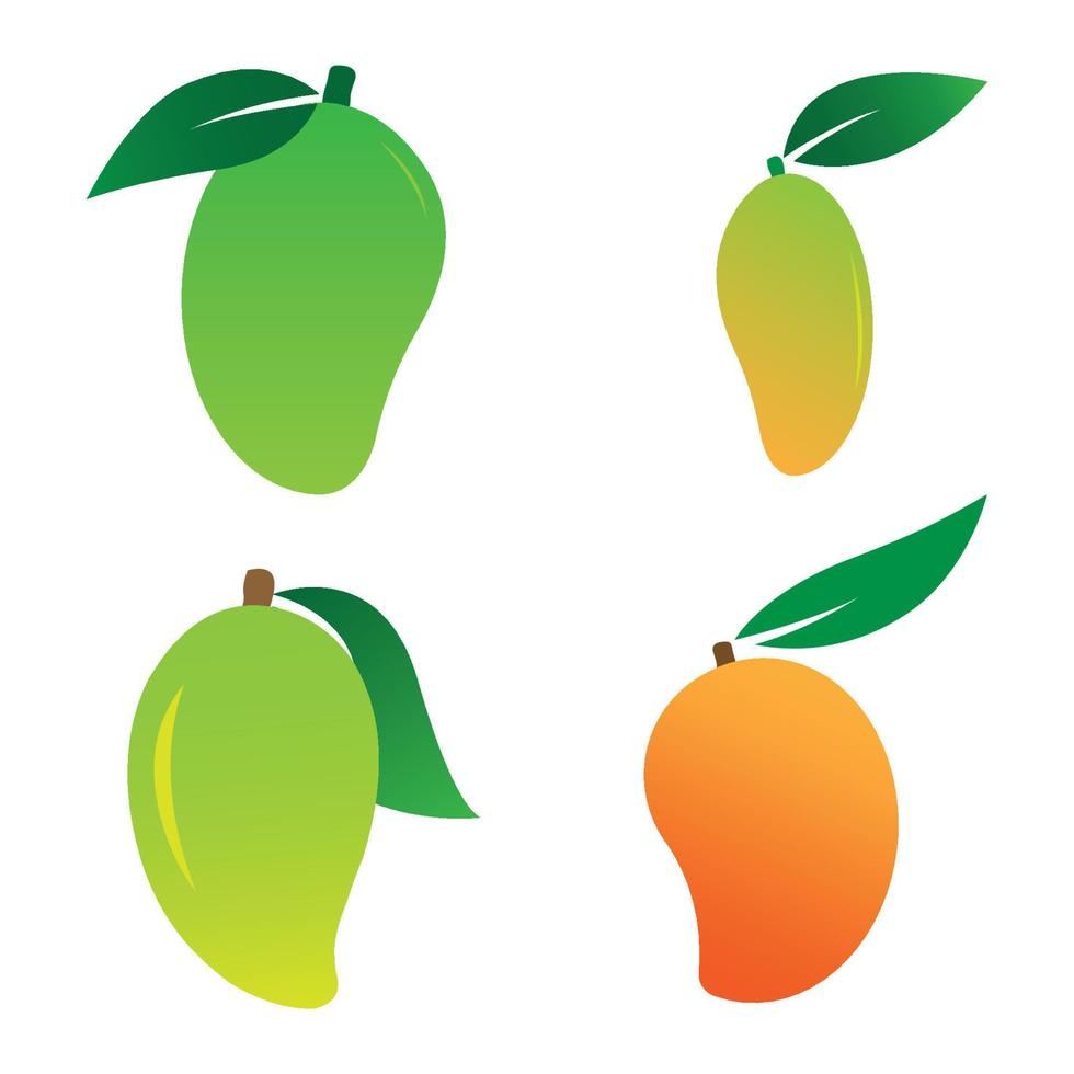 mango logo vector