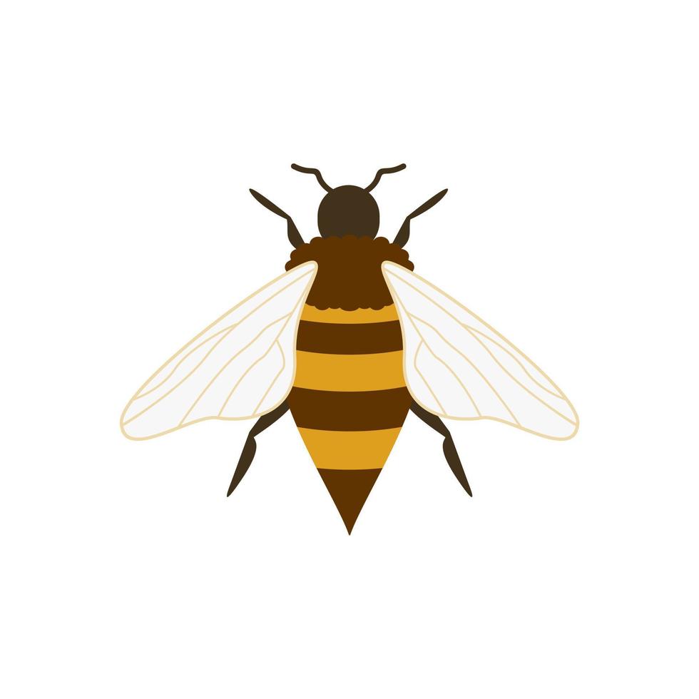 honing bij vlak ontwerp vector illustratie. schattig stuntelen bij. hommel karakter logo mascotte
