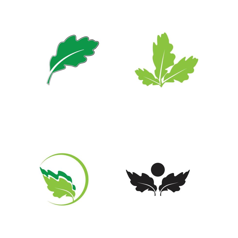 blad en sluiter lensopening voor natuurfotograaf logo-ontwerpinspiratie vector