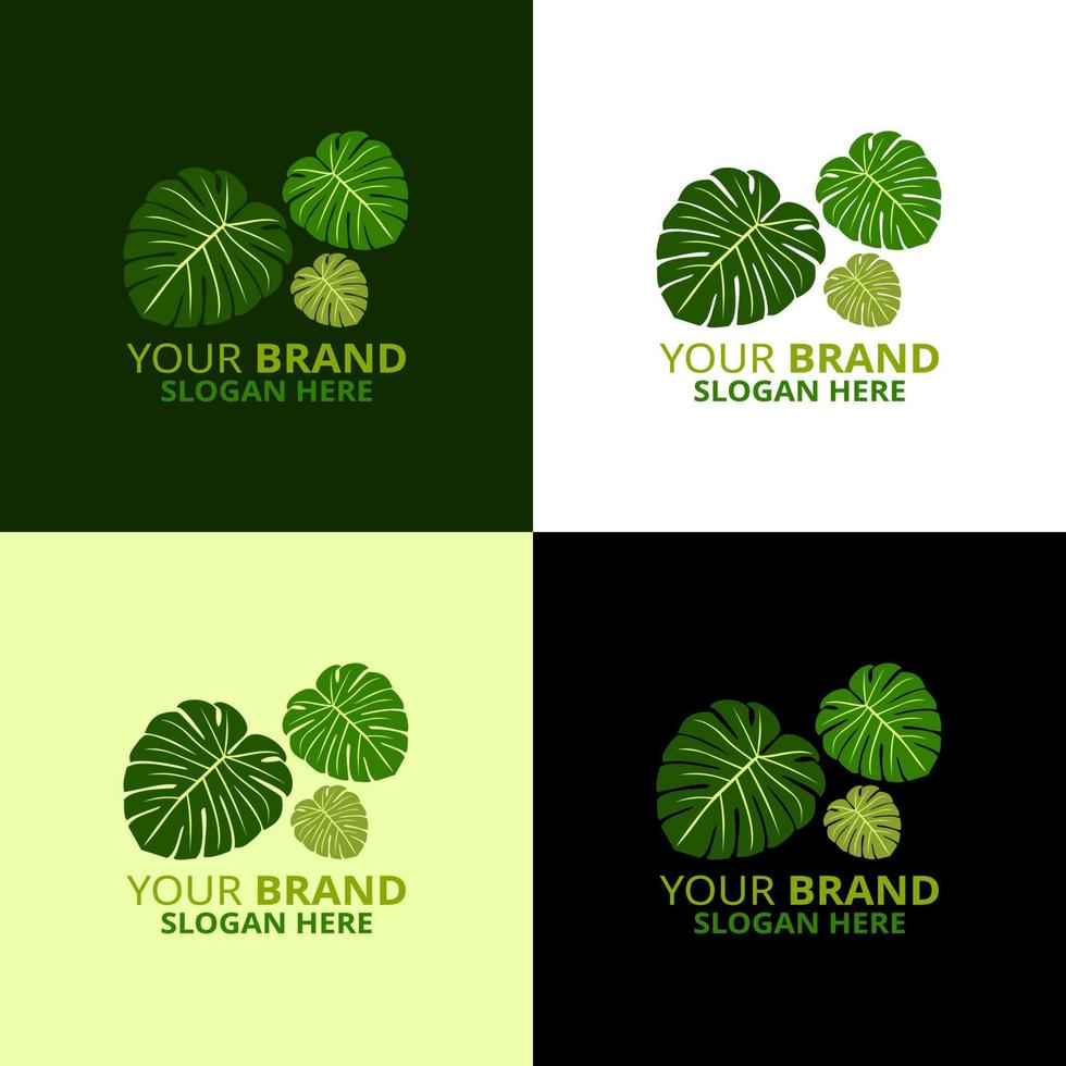 monstera logo sjabloon groen bladeren logo vector