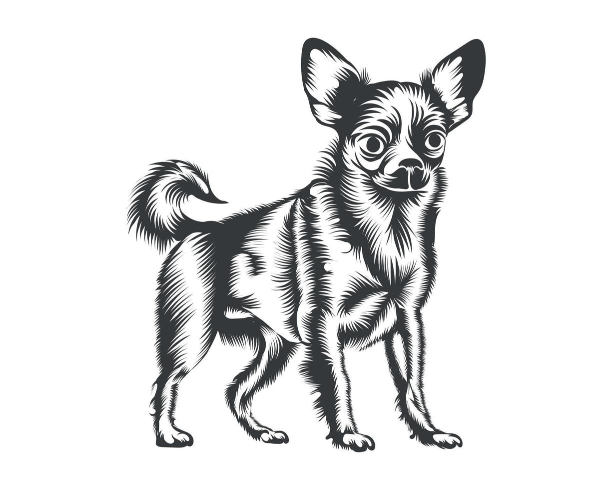 chihuahua hond terug en wit vector silhouet, hond gezicht illustratie