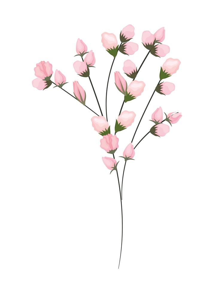 roze toppen bloemen boeket schilderij ontwerp vector