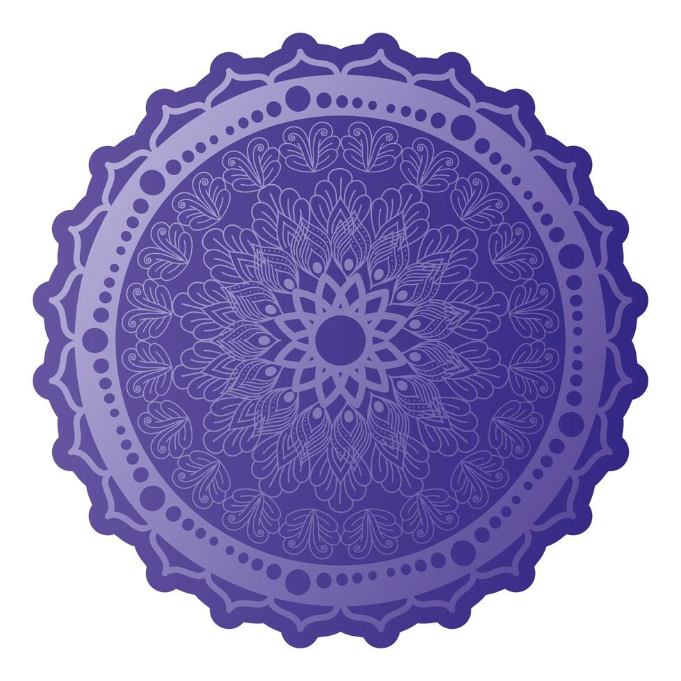 mandala van paarse kleur met een witte achtergrond vector