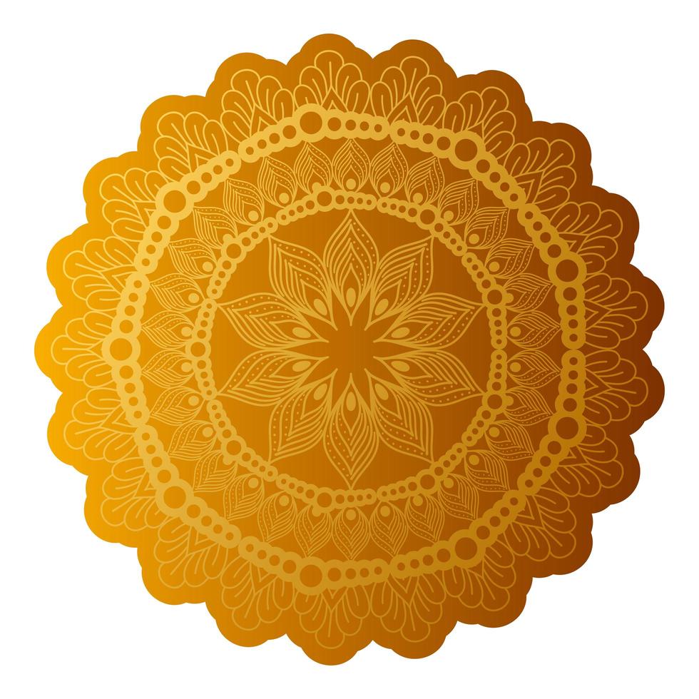 mandala van kleur oranje met een witte achtergrond vector
