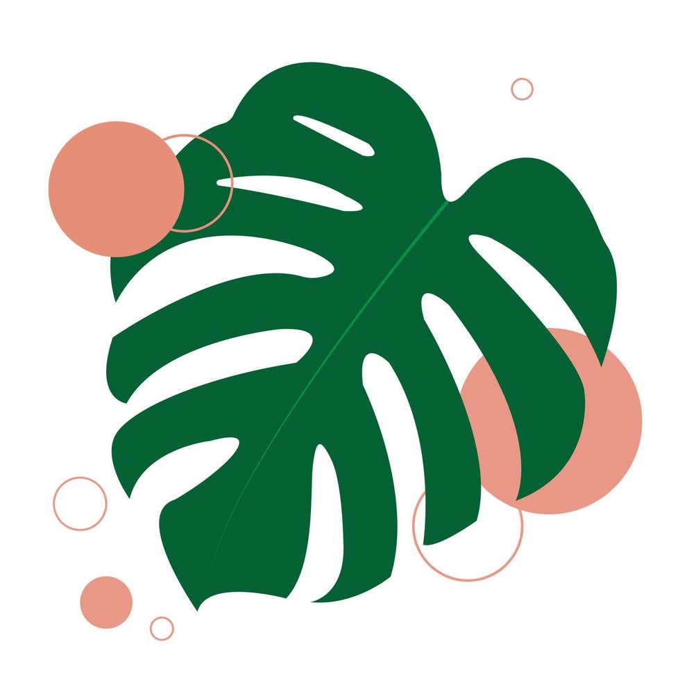 de ontwerp is modieus en exotisch voor de blad monstera groen van natuur in de zomer botanisch oerwoud voor de banier achtergrond, decoratie, kader, en voor illustratie. vector