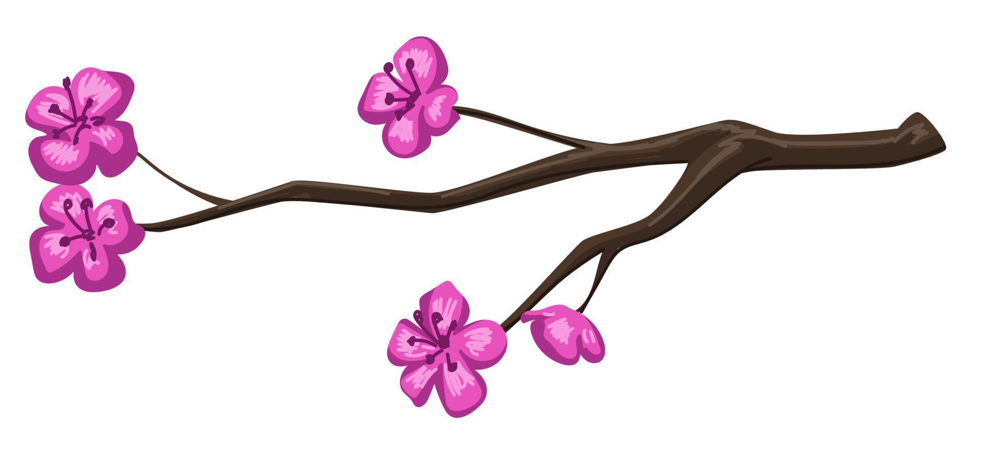 voorjaar kers boom bloesem, Afdeling met bloemen vector